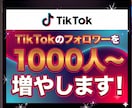 TikTokフォロワー1000人増やします [お試し価格]衝撃コスパでフォロワー増加を体験！！ イメージ1