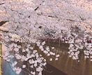 日本語を中国語に翻訳いたします 台湾出身です。日本で働いてます。 イメージ1