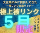 2026年5月限定で大企業と同じ被リンク貼ります なぜ成功している大企業と御社で結果に差が付くの？答えは○○！ イメージ1