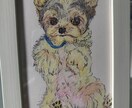 うちの子、お空ぐみの子、を可愛く描きます 可愛くフリーハンド、色鉛筆等でポストサイズからA4判サイズ イメージ8