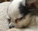 少しでも悩みに添えるようにアドバイスします 少しでも、心の支えに……。あなたの気持ちが軽くなるように。 イメージ1