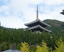 とにかく誰かと話したい時、お付き合いします 5分から、気が済むまで話してくれてイイですよ(^ ^) イメージ7