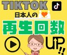 格安⭐️動画再生+1000回upします 大多数に宣伝・拡散・PR!!人気のアカウントへ!! イメージ1