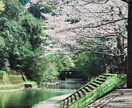自然や日常の一瞬一瞬の景色を納めてます 自然や日常の景色、まばたきの瞬間 イメージ4