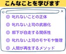 管理職向いてないと悩む優しい上司の相談に乗ります あなたは間違ってない。叱らなくていい優しい上司のための相談 イメージ2