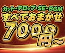動画のカット・テロップ編集を代行します 【初回お試し価格7000円！カットからテロップ、SEまで！】 イメージ1