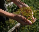 植物の話、します 植物好きな方、お話ししましょ！ イメージ1