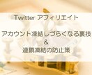 Twitterで凍結しづらくなる裏技を伝えます 連鎖凍結の予防策も掲載！ツイッターアフィリエイトの必須知識 イメージ2