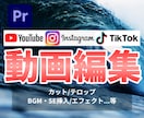 格安！高品質な動画編集（ショートも可）を行います インスタ・TikTokなどの動画全般を丁寧に作成します！ イメージ1