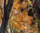 カップルや家族向けの旅行プランを提案します 大切な人と素敵な思い出を作りましょう。 イメージ5