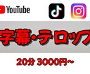 動画に字幕/フルテロップを入れます 早くて丁寧!めんどくさい字幕入れ作業はおまかせください! イメージ1