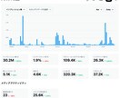 X運用コンサルします 正しい知識と情報で伸ばし続ける運用を！ イメージ3