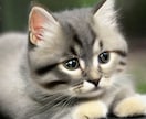 Stable Diffusionインストールします 画像生成AIで画像作りましょう。 イメージ2