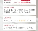 リピーター様1本5500円で動画作成します 【2本パック】伝わる構成と見やすさにこだわった編集を行います イメージ3