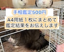 A4用紙手相鑑定で、過去〜現在〜未来を占いします 手相鑑定、誰かのお役に立てれば幸いです イメージ1
