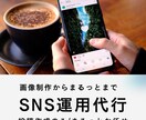 成功する戦略でYoutubeコンサルします Youtube収益化/youtubeマーケティング イメージ1