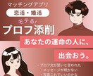 限定！先着5名¥1,000でプロフ添削します 婚活って孤独。仕事の方が楽。そんな風に思っているあなたに！ イメージ1
