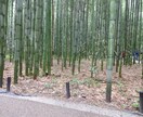 どんな文章も作成致します 何をどう書けばいいのかわからない！という方におすすめです！ イメージ1