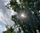 プロのカウンセラーがお話しを伺います 誰かと話したい、愚痴を言いたいなど気軽にお聞かせ下さい♪ イメージ1