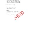 東南アジア陸路旅：詰みポイント診断します 行けるか、どこで詰むか。判断材料を短時間で提供 イメージ5