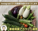 Instagramリール動画作成をサポートします スマホだけで出来るInstagramリール動画作成をサポート イメージ1