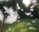 大切な人が“うつ病”悩んでいるあなたのお話聴きます ⭐あなたも辛い、しんどい心の叫びを吐き出していいんです イメージ4