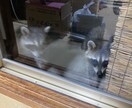 ご先祖様、直系の方々をご供養させて頂きます 本当の自分自身に戻っていき、本来の人生を歩んでいきませんか イメージ5
