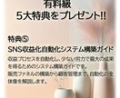 SNS初心者も！実践的収益化完全ガイドお渡しします SNS副業初心者でも収益化を目指せるマネタイズ完全ガイドです イメージ8