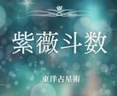 紫微斗数(東洋占星術)で貴方の人生を占います 紫微斗数【中国の透派】で依頼者様の人生を鑑定します。 イメージ3