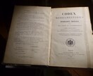 フランス語での研究手伝います フランス語での検索、図書館での調べ物、撮影、現地調査等 イメージ1