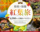 デザインのその先まで考えて制作いたします 【バナー】【ヘッダー】【フィード投稿】【MV】 イメージ3
