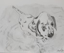 鉛筆で、似顔絵を描きます リアルな、ペットや、人物の鉛筆似顔絵。 イメージ6
