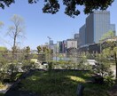 東京限定！オンラインコンシェルジュいたします あなただけのオリジナルTokyo trip イメージ2