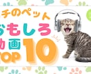 パッと注目！YouTubeサムネイルを制作します 思わずクリックしたくなるサムネイルを激安価格・修正無制限で！ イメージ5