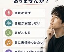 あなたの声の個性を活かすボーカルレッスンします 20年以上の現場経験×講師経験｜上手くだけでなく伝わる声へ イメージ2