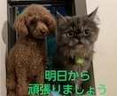 心軽やかに！スッキリして下さい。愚痴お聞きします 気持ちリフレッシュ！ストレス解消タイム。気軽にお話し下さい！ イメージ9