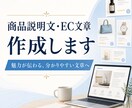 Amazon・ECの商品説明文を作成します 購入判断に必要な情報を整理します イメージ1