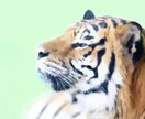 思い出写真を絵にします 素晴らしい思い出を記念に絵にして残しませんか イメージ4