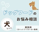 愛犬の『ドッグフード』の相談にのります ペットフードメーカーに勤務経験のある獣医師がお答えします！ イメージ1