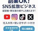 SNS【副業可】の登録者や再生数を増やす術教えます SNS登録者などを安全かつ効率的に増やす方法を初歩から伝授！ イメージ1