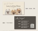 写真入り多頭ペット名刺をシンプルデザインで作ります グラフィックデザイナーにセミオーダー！両面印刷100枚送料込 イメージ7