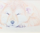 ペットの絵画制作します サイズ15㎝以下でペン画の実物を納品させていただきます。 イメージ1