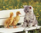 心のお悩みを聞きます モヤモヤを吐き出してスッキリしましょう イメージ1