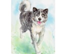 ペット似顔絵　手描きの水彩画で優しく描きます 犬・猫その他ペット全般の似顔絵/プレゼントにもオススメ◎ イメージ3