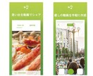 魅力的なYouTubeサムネイル制作を制作します あなたのYouTubeチャンネルに最適なサムネイルを制作 イメージ3