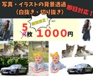背景の白抜き、透過5枚/1000円爆速で仕上げます 背景の透明化/白背景/ホコリやシミ消しなど イメージ1