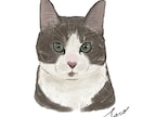 猫ちゃんのイラストをふんわり可愛いくお描きします Cat Portrait Illustration イメージ5