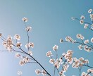 学生時代好きだった“あの人”との相性を読み解きます 過去に惹かれた“あの人” 今でもふとした瞬間に思い出す理由 イメージ4