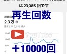 YouTubeの再生回数ふやします 1000回から可能です。収益化の近道に役にたちます！ イメージ1