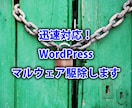 迅速対応！WordPressマルウェア駆除します 緊急対応OK！感染駆除からセキュリティ強化まで徹底サポート イメージ1